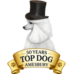 TopDog Grooming